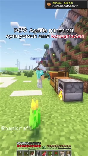 Yeni Towny Sunucusu: mc.hapicraft.com.tr