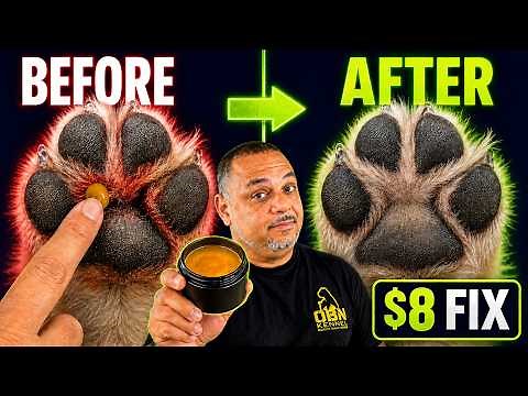 Vets Never Tell You About This $8 DIY Cream That Stops Itching Fast