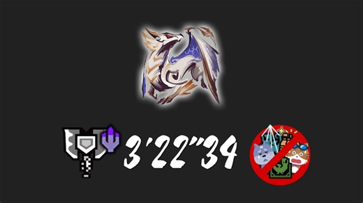 【MHRS】超解盾斧 烈祸袭来:原初形态爵银龙 3'22''34 三无规则