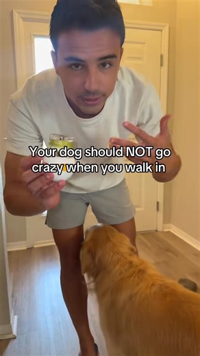 🐾 TheraPetMD Dog Calming Diffuser 🐾 Create a peaceful space for your pup with this vet-recommended calming diffuser. Designed to ease stress from storms, fireworks, or separation, TheraPetMD promotes relaxation and emotional balance — helping reduce barking, pacing, and restlessness. 🌿 Just plug it in for up to 30 days of continuous comfort! Odorless, pet-safe, and easy to use, it’s the stress-free way to help your dog feel calm, happy, and at home. 💙 | Warmthermal