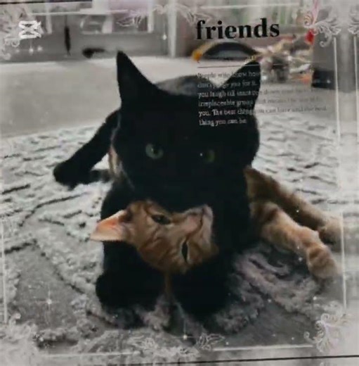 You and me ˃ 𖥦 ˂ #fypviralシ