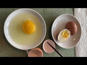Parts of an Egg Lesson for Kids