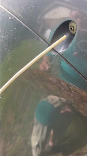 Boat motor not peeing. #boat #fishing