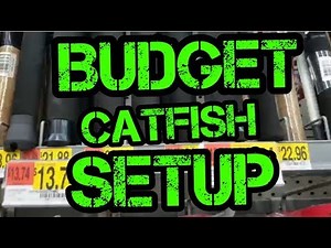 Beginner catfish combo and setup