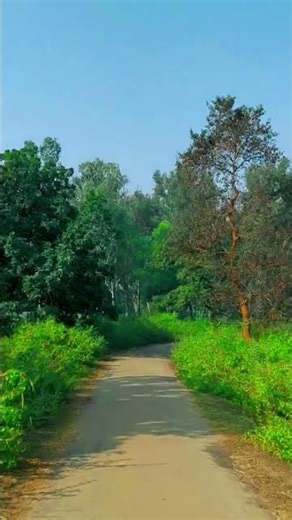 😎 Digital Creator 🔥 Reels Lover 🎬 Daily 2 Video 💯 Future Star 📍 India 👇 Follow karo support kro