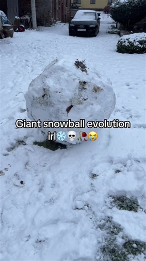 Giant Snowball Evolution: A Winter Adventure