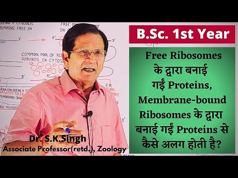 Protein Sorting & Protein Targeting - Part 1 || Biology || B.Sc. 1st Year