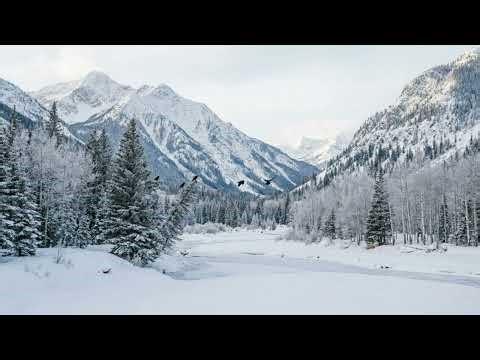 3 Hours of Winter Common Raven Birdsongs - mountain valley