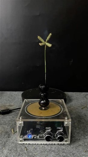 Tesla coil + 3Black grapefruit + Plants