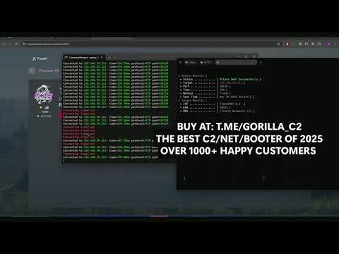 this is why you shouldnt use gorilla botnet | stay safe