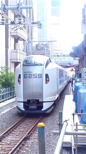 E259 series at SHIBUYA Station, Tokyo, Japan, September 2025