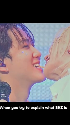 A small pepero compilation from all the pepero games at the last Stray Kids fanmeeting