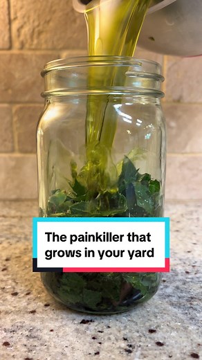 Discover the Powerful Benefits of Wild Lettuce Tincture