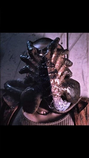 Horrible Face Hugger attack #alien #clips