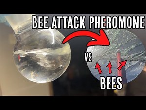 Making a Bee attack pheromone then testing it...