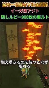 敵を一切殺さずに全回収!? イーガ団アジト「隠しルピー900枚」の裏ルート #ゼルダの伝説