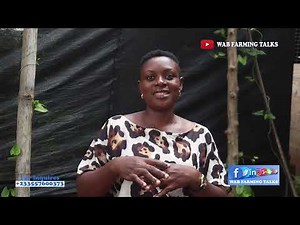 How to Start Snail Farming – Beginner’s Complete Guide