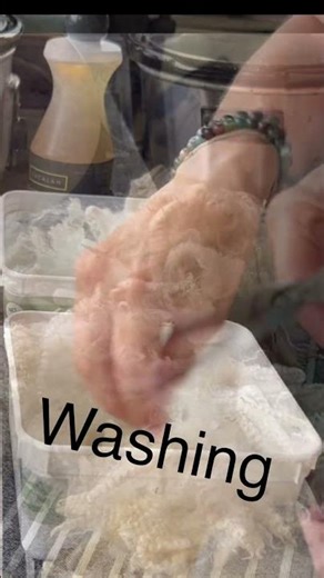 Washing Raw Fleece in Small Batches 🐑 | Full tutorial on my Ko-fi #handspinning #woolprocessing