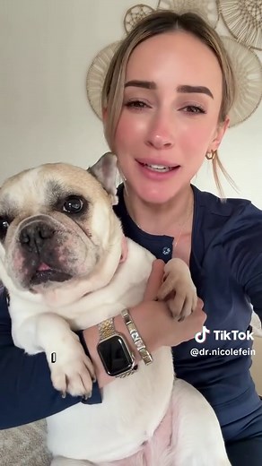 Understanding French Bulldogs: Myths and Realities