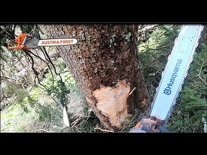 Seilbahn Holzfällen im Steilhang