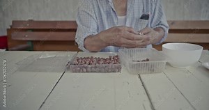 An old man's hands expertly crack hazelnuts using a nutcracker, demonstrating a timeless, simple process. Enjoy the authentic sounds of each shell breaking.
