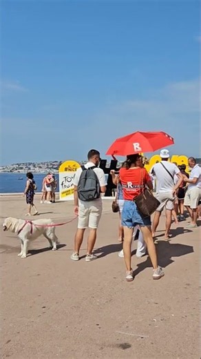 니스 A happy journey begins in Nice, southern France.楽しい旅はフランス南部のニースで始まります。