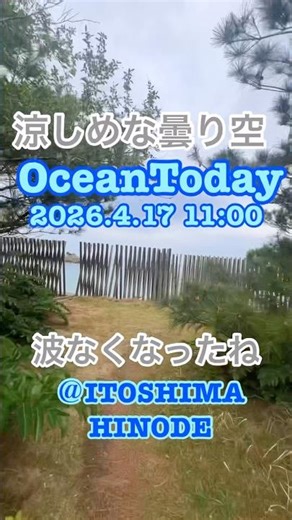 今日の海 2026.4.17 11:00 #糸島 #itoshima #itoshimahinode#itoshimanow#野北サーフポイント