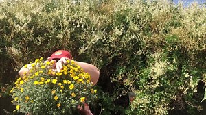 Drum roll, please! ~ Your Best Self: The Alert Program® For All is our new online course for you (and all adults)! Learn more and watch our FREE Sneak Peek Intro Video at AlertProgram4All.com. This innovative self-care approach offers unique solutions for you at work, at home, and in your relationships. Watch Sherry (below) to learn more! | The Alert Program