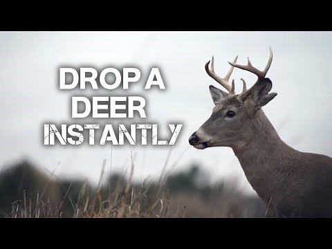 This Will Drop a Deer Instantly