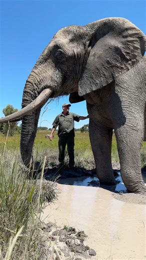 Moments with Mak are incredible - moments to treasure forever! 🐘🌍 | Ivan Carter