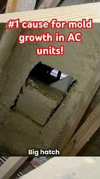 How to Prevent Mold Problems with Spray Foam Insulation