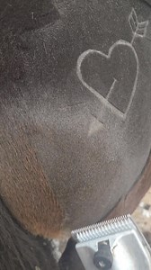 18K views · 106 reactions | Blending out around a design with one big...