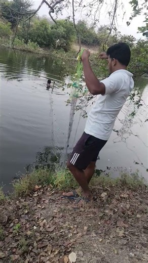 Fish catching by using long Fish net