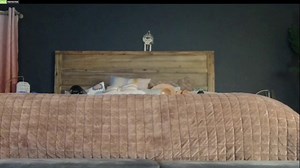 mssbb Chaturbate webcam recordings, Archivebate