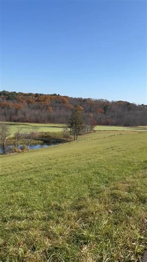 Peace and calmness before the storm | Teddy Dimmick