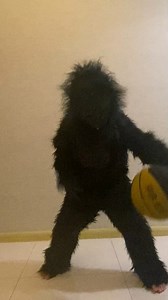 Watch Seasons Boys' Gorilla Costume on Amazon Live