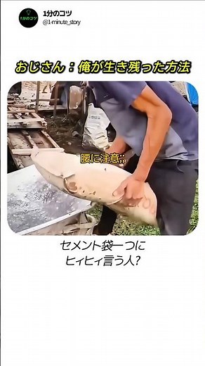 20年ベテラン職人も知らなかったセメント運搬技