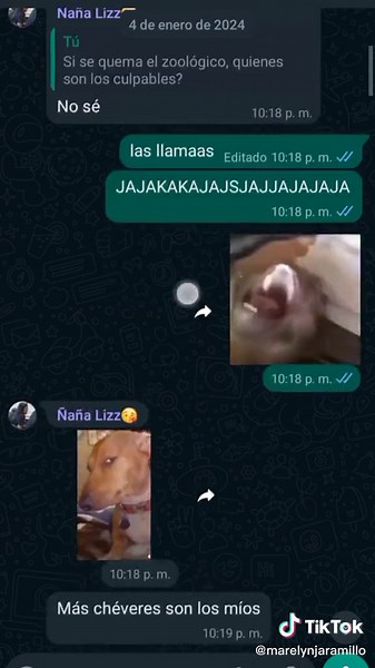 JAJAJAJAJAJAJAJAJSJAJAJAJAJAJAJ la Liz no quiere admitir que mis chistes son mejores