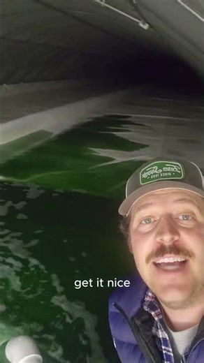 Inside a Night Shift at a Spirulina Farm