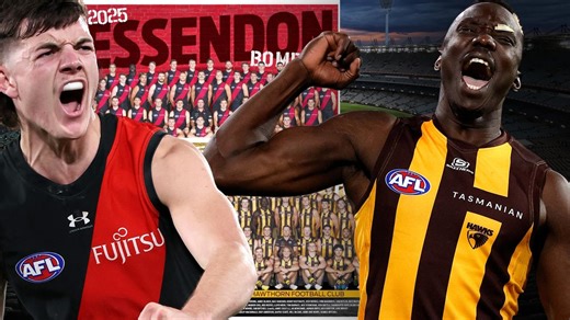 Download today: Every AFL club’s 2025 team poster