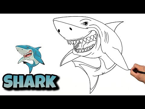 HOW TO DRAW A SHARK | Step By Step #shark #drawingtutorial