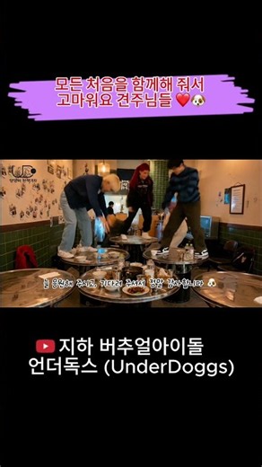 모든 처음을 함께해 줘서 고마워요 견주님들 ❤️🐶