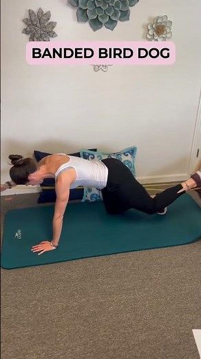 Banded Bird Dog Exercise | Core Stability & Low Back Strengthening