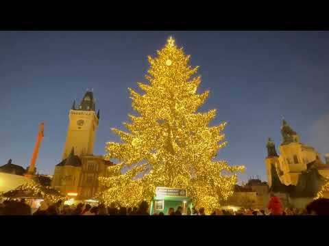 Vox Silentii — Gregorian Chant Sung by Monastic Sisters