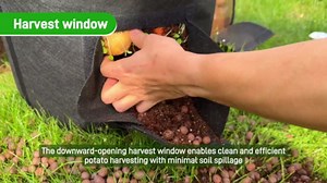 4 Pcs 15 Gallon Potato Grow Bags with Harvest & Visible Windows, Thickened Nonwoven Fabric Potato Planter,Potato Growing Containers with Sturdy Handles, Potato Bags for Growing Potatoes Vegetables