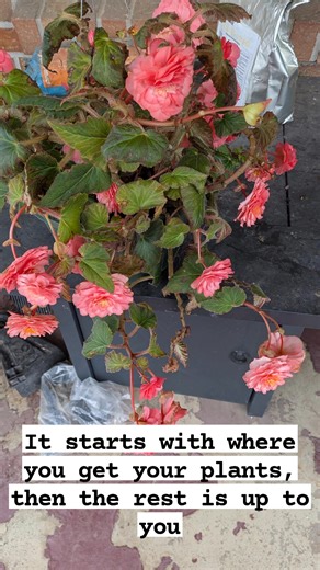 George Monks on Reels