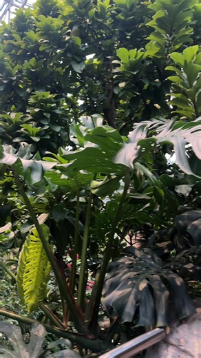 Explore the Houston Museum of Natural Science