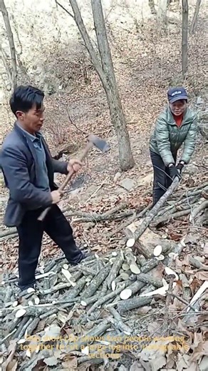 The Smart Way to Cut Firewood Logs | Wood Chopping Hack