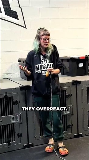 When You Can Free a Dog From Muzzle Jail