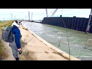 4 EASY BANK FISHING SPOTS in Galveston TX! Maps & Coordinates Provided! Fish for FREE